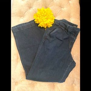 Ann Taylor Trouser Jeans
